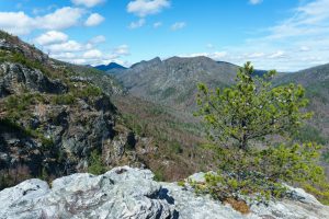 View from the Big Rock on the Pinch-In Trail