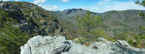 View from the Big Rock on the Pinch-In Trail