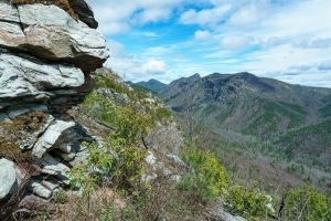 View North from the Pinch-In Trail