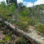 View Up to the Big Rock Outcrop on the Pinch-In Trail