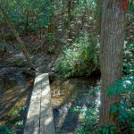 Daniel Ridge Loop Trail Bridge