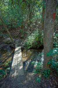 Daniel Ridge Loop Trail Bridge