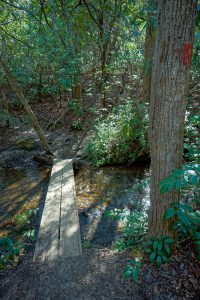 Daniel Ridge Loop Trail Bridge