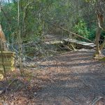 Bridge Replacement on the Daniel Ridge Loop Trail