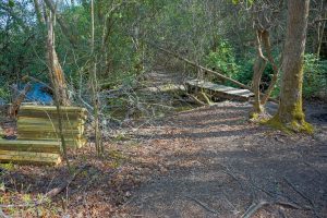 Bridge Replacement on the Daniel Ridge Loop Trail