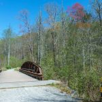 Bridge over Davidson River