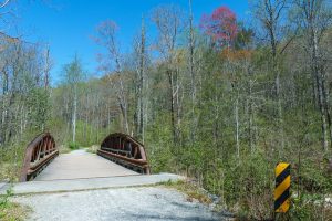 Bridge over Davidson River