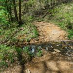 Creek Crossing on Daniel Ridge Loop