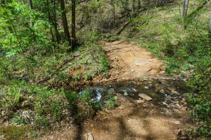 Creek Crossing on Daniel Ridge Loop