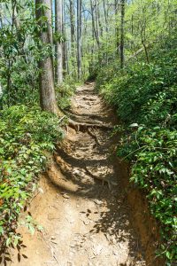 Eroded Section of Daniel Ridge Loop