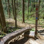 Resting Junction on Daniel Ridge Loop Trail