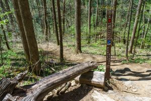 Resting Junction on Daniel Ridge Loop Trail