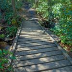 Old bridge on the Daniel Ridge Loop Trail