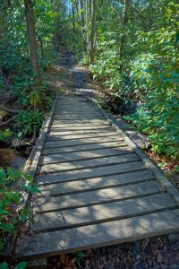 Old bridge on the Daniel Ridge Loop Trail