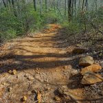 Red Clay Section of Daniel Ridge Loop Trail