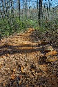 Red Clay Section of Daniel Ridge Loop Trail