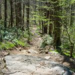 Rock Slab on Daniel Ridge Loop Trail