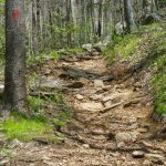 Rocky Eroded Section of Daniel Ridge Loop Trail