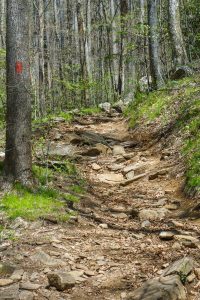 Rocky Eroded Section of Daniel Ridge Loop Trail
