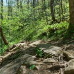 Rocky Section of Daniel Ridge Loop Trail