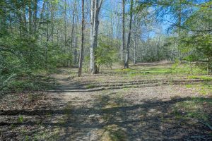 Second Wildlife Opening on the Daniel Ridge Loop Trail