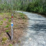 Sign for Daniel Ridge Loop Trail