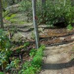 Stream Crossing on the Daniel Ridge Loop Trail