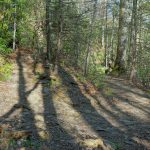 Switchback on the Daniel Ridge Loop Trail