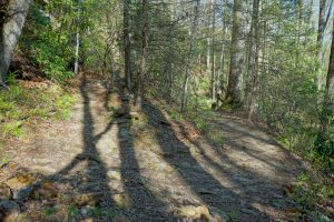 Switchback on the Daniel Ridge Loop Trail