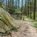 Angled Rock Slab on Farlow Gap