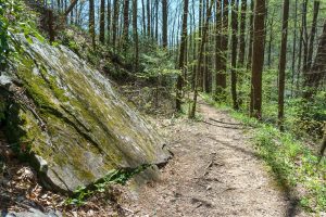 Angled Rock Slab on Farlow Gap