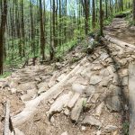 Armored Steps and Switchback on the Farlow Gap Trail