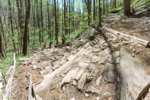 Armored Steps and Switchback on the Farlow Gap Trail