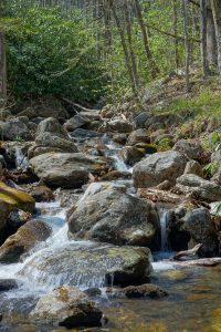 Daniel Ridge Creek above Farlow Gap Trail