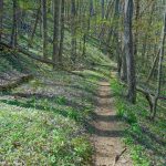 Open Section of the Farlow Gap Trail