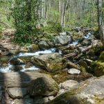 Crossing of Right Fork on Farlow Gap Trail