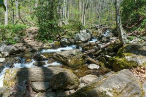 Crossing of Right Fork on Farlow Gap Trail