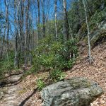 Rock Outcrop on the Farlow Gap Trail