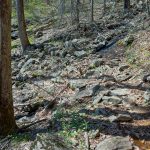 Rocky Section of the Farlow Gap Trail