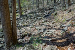 Rocky Section of the Farlow Gap Trail