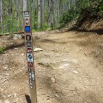 Farlow Gap Trail Sign