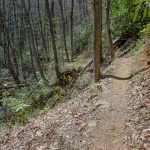 Farlow Gap Trail at a Slide