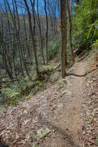Farlow Gap Trail at a Slide