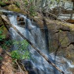 Waterfall on Tributary of Daniel Ridge Creek