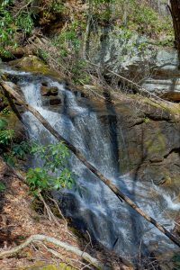 Waterfall on Tributary of Daniel Ridge Creek