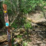 Cemetery Loop Trail at Long Branch