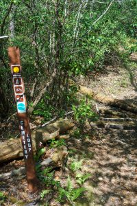 Cemetery Loop Trail at Long Branch