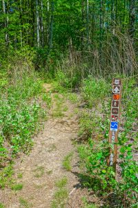 Long Branch Trail East at FS 5095