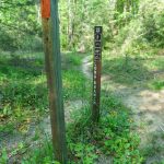 Old Sign Post on the Long Branch Trail