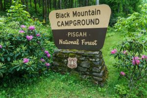 Black Mountain Campground Sign